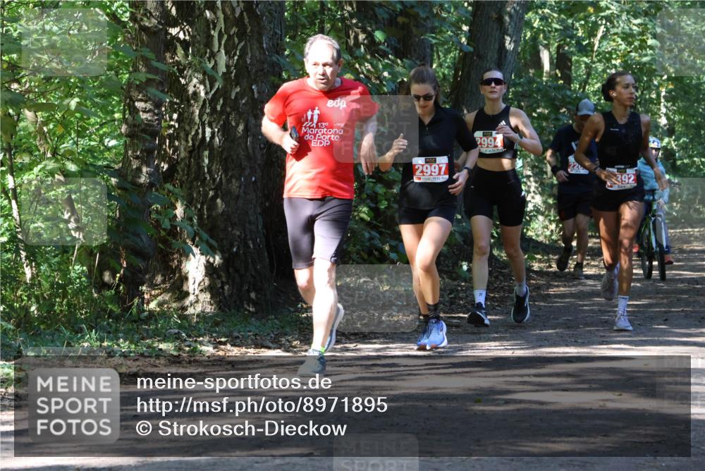 28.09.2025 - 33. Volkslauf durch das schöne Alstertal Strokosch-Dieckow http://msf.ph/oto/8971895 28.09.2025 12:24:08 Laufen 139, 2997, 2994, 392 meine-sportfotos.de