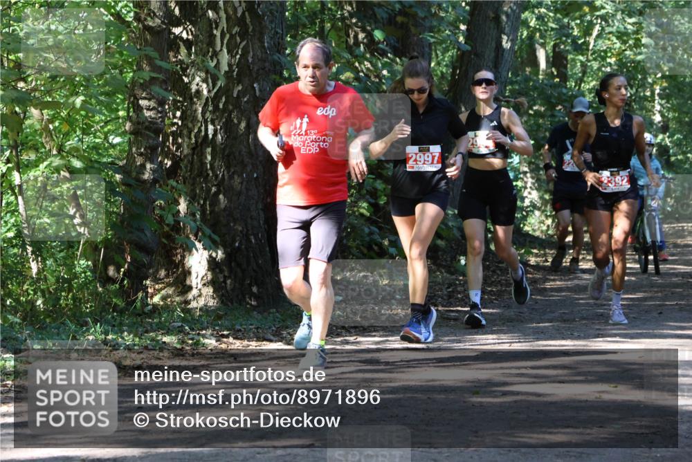 28.09.2025 - 33. Volkslauf durch das schöne Alstertal Strokosch-Dieckow http://msf.ph/oto/8971896 28.09.2025 12:24:08 Laufen 139, 2997, 29, 2392 meine-sportfotos.de