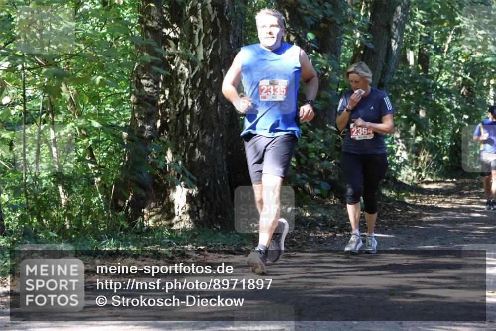 28.09.2025 - 33. Volkslauf durch das schöne Alstertal Strokosch-Dieckow http://msf.ph/oto/8971897 28.09.2025 12:24:21 Laufen 2335, 2364 meine-sportfotos.de