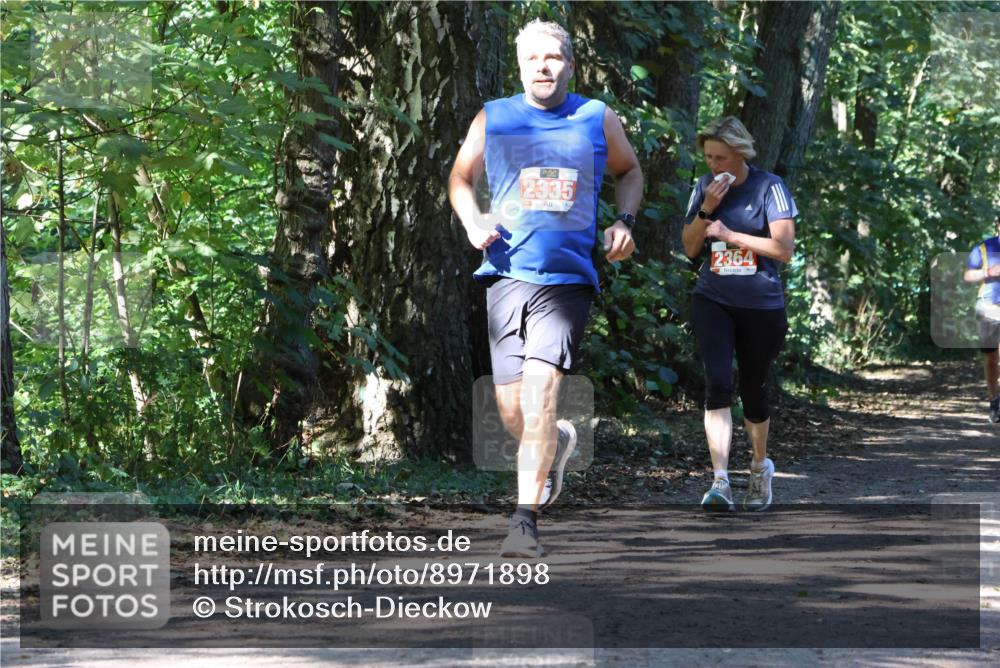 28.09.2025 - 33. Volkslauf durch das schöne Alstertal Strokosch-Dieckow http://msf.ph/oto/8971898 28.09.2025 12:24:21 Laufen 2335, 2364 meine-sportfotos.de