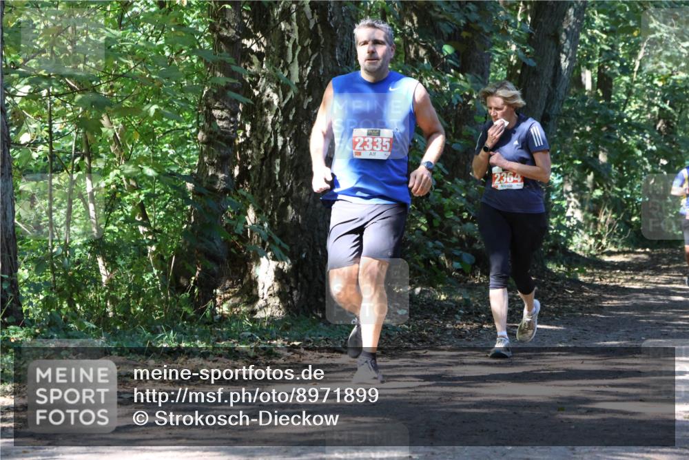28.09.2025 - 33. Volkslauf durch das schöne Alstertal Strokosch-Dieckow http://msf.ph/oto/8971899 28.09.2025 12:24:21 Laufen 2335, 2364 meine-sportfotos.de