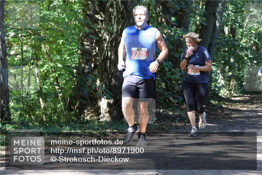 28.09.2025 - 33. Volkslauf durch das schöne Alstertal Strokosch-Dieckow http://msf.ph/oto/8971900 28.09.2025 12:24:21 Laufen 2335, 2304 meine-sportfotos.de