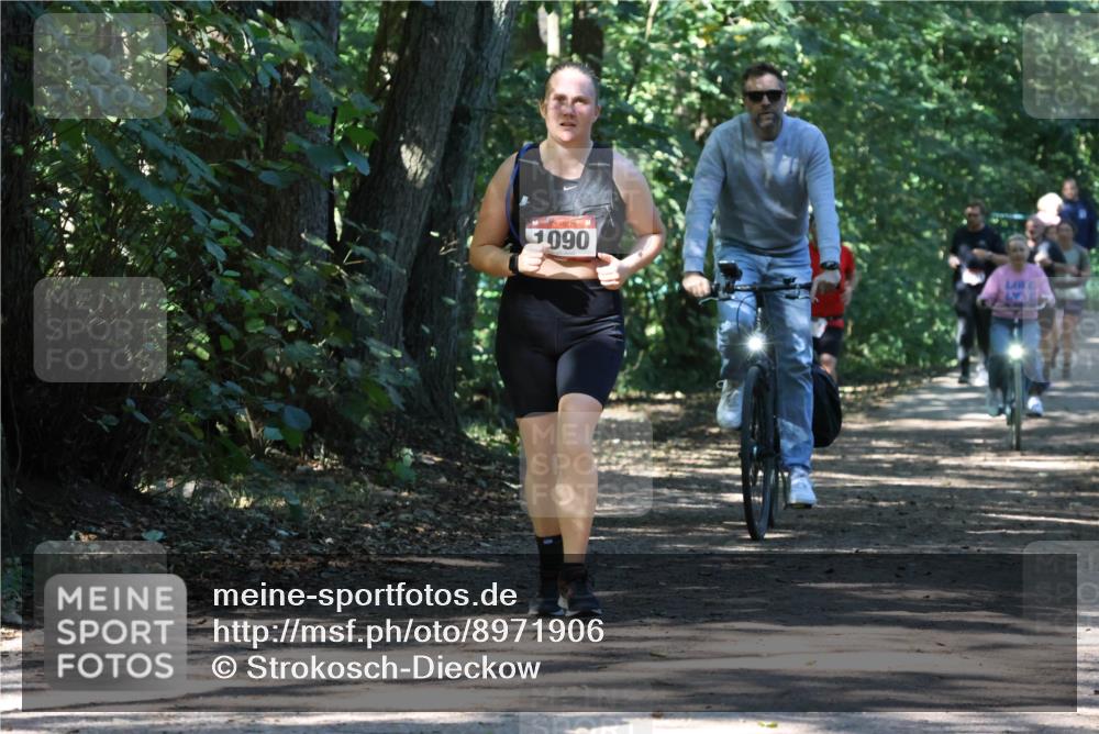 28.09.2025 - 33. Volkslauf durch das schöne Alstertal Strokosch-Dieckow http://msf.ph/oto/8971906 28.09.2025 12:24:30 Laufen 1090 meine-sportfotos.de
