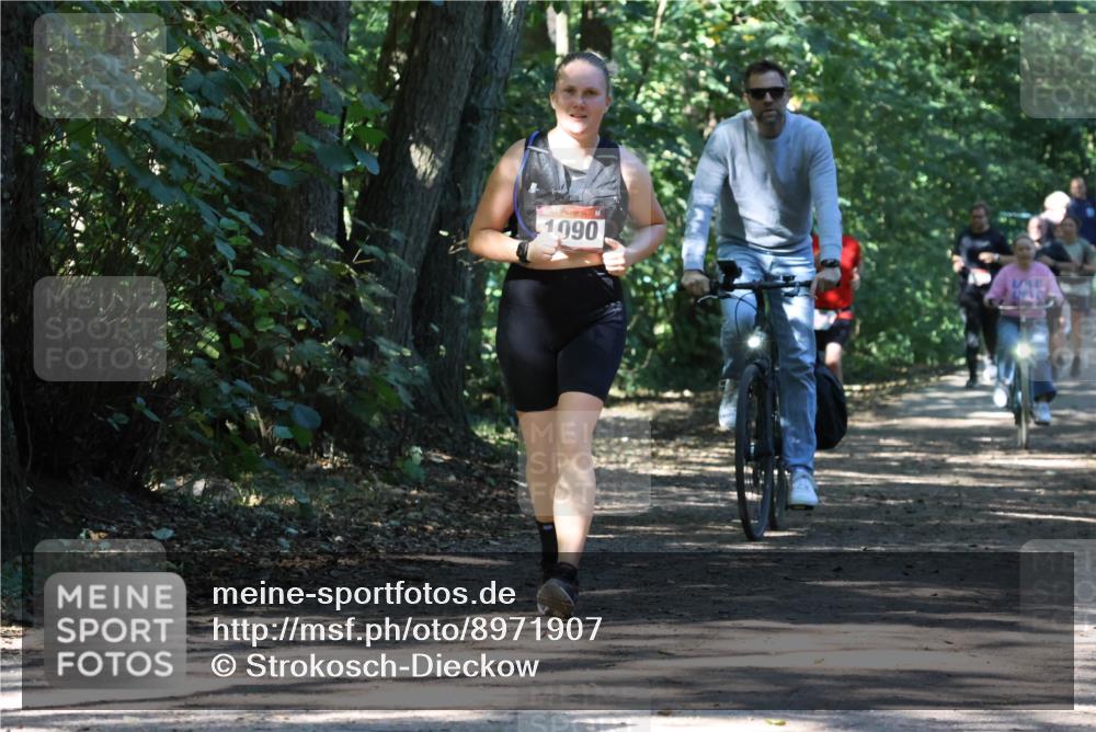 28.09.2025 - 33. Volkslauf durch das schöne Alstertal Strokosch-Dieckow http://msf.ph/oto/8971907 28.09.2025 12:24:30 Laufen 1090 meine-sportfotos.de