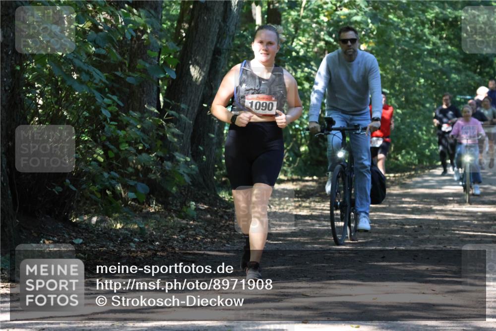 28.09.2025 - 33. Volkslauf durch das schöne Alstertal Strokosch-Dieckow http://msf.ph/oto/8971908 28.09.2025 12:24:30 Laufen 1090 meine-sportfotos.de