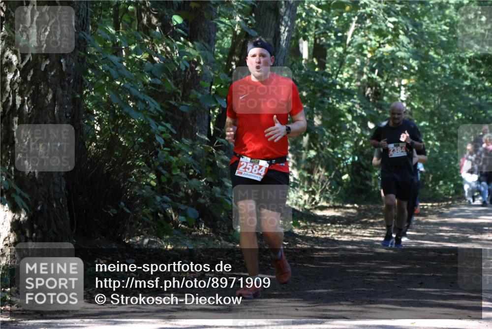 28.09.2025 - 33. Volkslauf durch das schöne Alstertal Strokosch-Dieckow http://msf.ph/oto/8971909 28.09.2025 12:24:40 Laufen 2584, 2384 meine-sportfotos.de