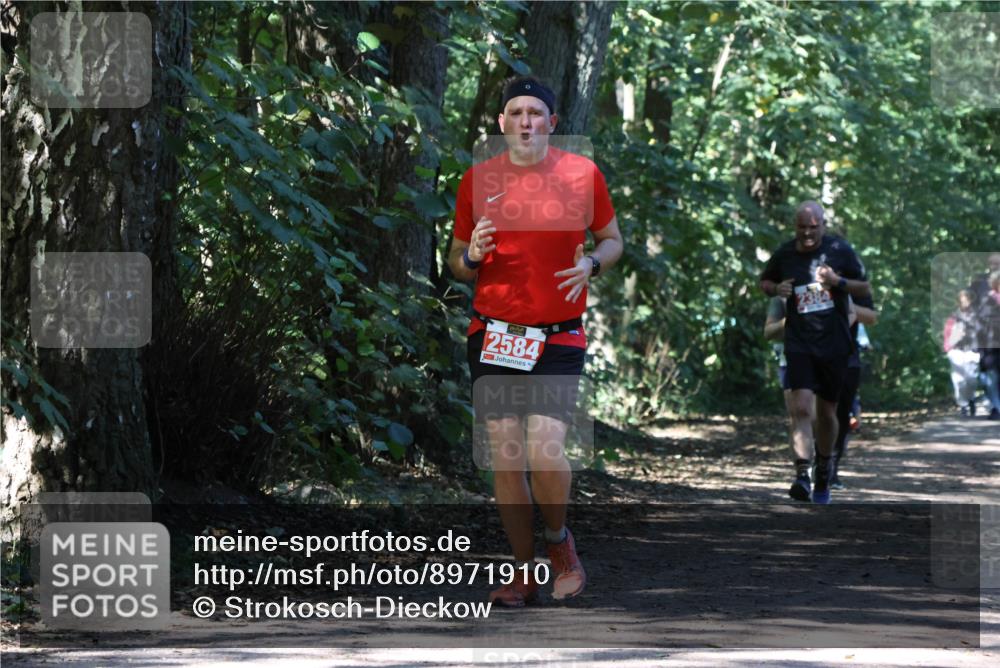 28.09.2025 - 33. Volkslauf durch das schöne Alstertal Strokosch-Dieckow http://msf.ph/oto/8971910 28.09.2025 12:24:40 Laufen 2584 meine-sportfotos.de