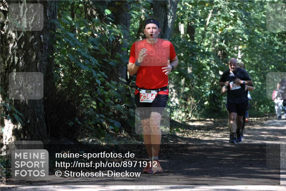28.09.2025 - 33. Volkslauf durch das schöne Alstertal Strokosch-Dieckow http://msf.ph/oto/8971912 28.09.2025 12:24:40 Laufen 2584 meine-sportfotos.de
