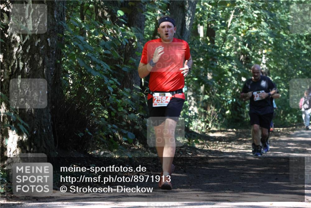 28.09.2025 - 33. Volkslauf durch das schöne Alstertal Strokosch-Dieckow http://msf.ph/oto/8971913 28.09.2025 12:24:40 Laufen 2584 meine-sportfotos.de