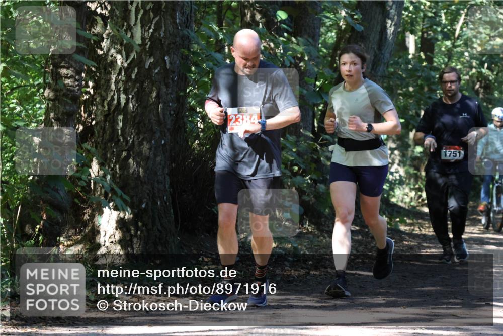 28.09.2025 - 33. Volkslauf durch das schöne Alstertal Strokosch-Dieckow http://msf.ph/oto/8971916 28.09.2025 12:24:45 Laufen 2384, 1751 meine-sportfotos.de