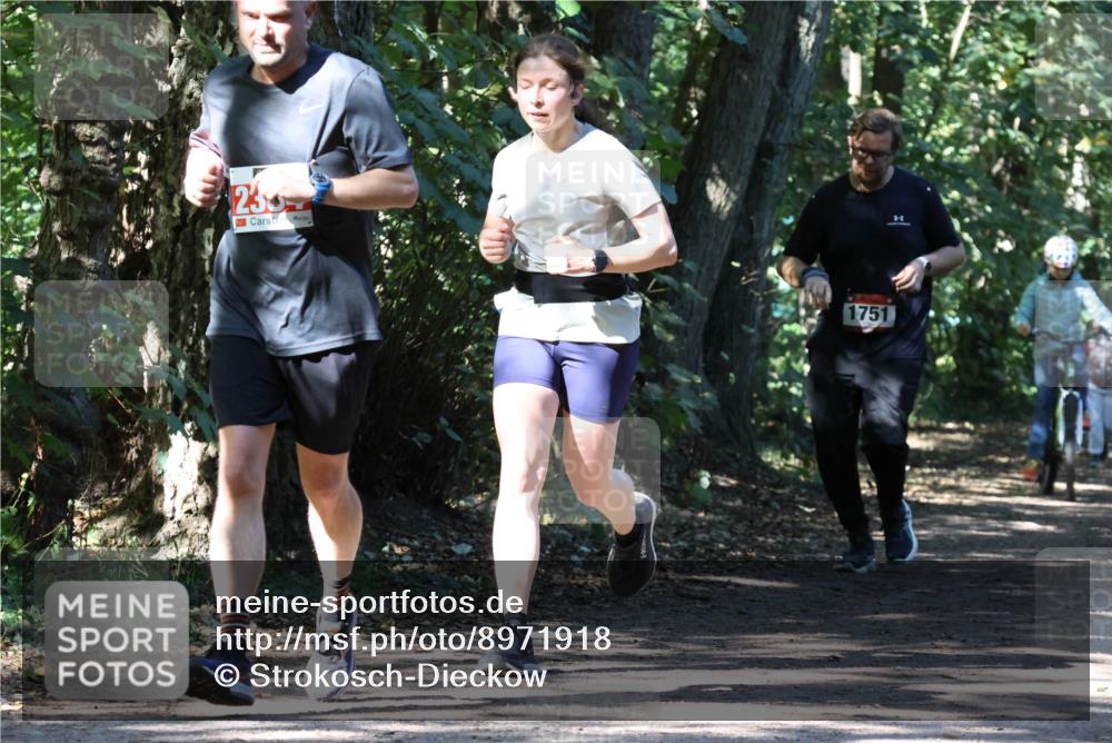28.09.2025 - 33. Volkslauf durch das schöne Alstertal Strokosch-Dieckow http://msf.ph/oto/8971918 28.09.2025 12:24:45 Laufen 23, 1751 meine-sportfotos.de