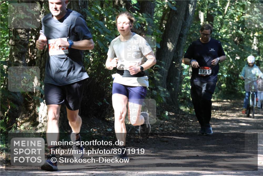 28.09.2025 - 33. Volkslauf durch das schöne Alstertal Strokosch-Dieckow http://msf.ph/oto/8971919 28.09.2025 12:24:45 Laufen 1751 meine-sportfotos.de