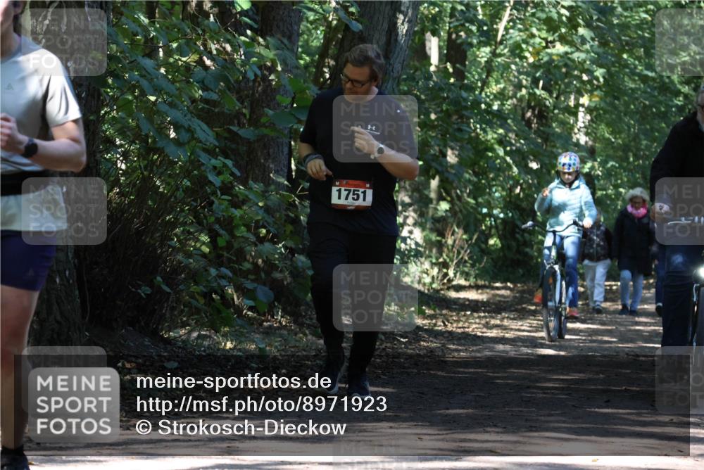 28.09.2025 - 33. Volkslauf durch das schöne Alstertal Strokosch-Dieckow http://msf.ph/oto/8971923 28.09.2025 12:24:47 Laufen 1751 meine-sportfotos.de