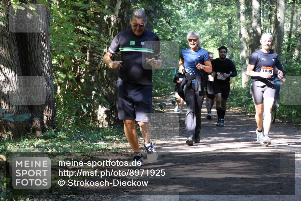 28.09.2025 - 33. Volkslauf durch das schöne Alstertal Strokosch-Dieckow http://msf.ph/oto/8971925 28.09.2025 12:25:32 Laufen 1095 meine-sportfotos.de