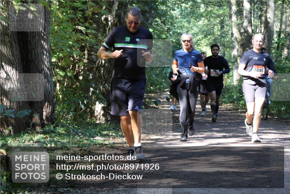 28.09.2025 - 33. Volkslauf durch das schöne Alstertal Strokosch-Dieckow http://msf.ph/oto/8971926 28.09.2025 12:25:33 Laufen 1095 meine-sportfotos.de