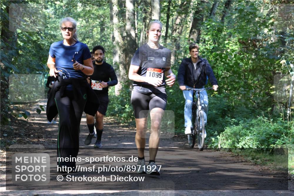 28.09.2025 - 33. Volkslauf durch das schöne Alstertal Strokosch-Dieckow http://msf.ph/oto/8971927 28.09.2025 12:25:34 Laufen 4, 230, 1095 meine-sportfotos.de