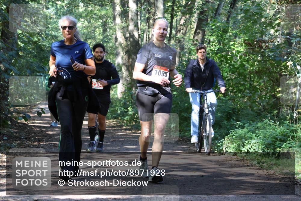 28.09.2025 - 33. Volkslauf durch das schöne Alstertal Strokosch-Dieckow http://msf.ph/oto/8971928 28.09.2025 12:25:34 Laufen 230, 1095 meine-sportfotos.de