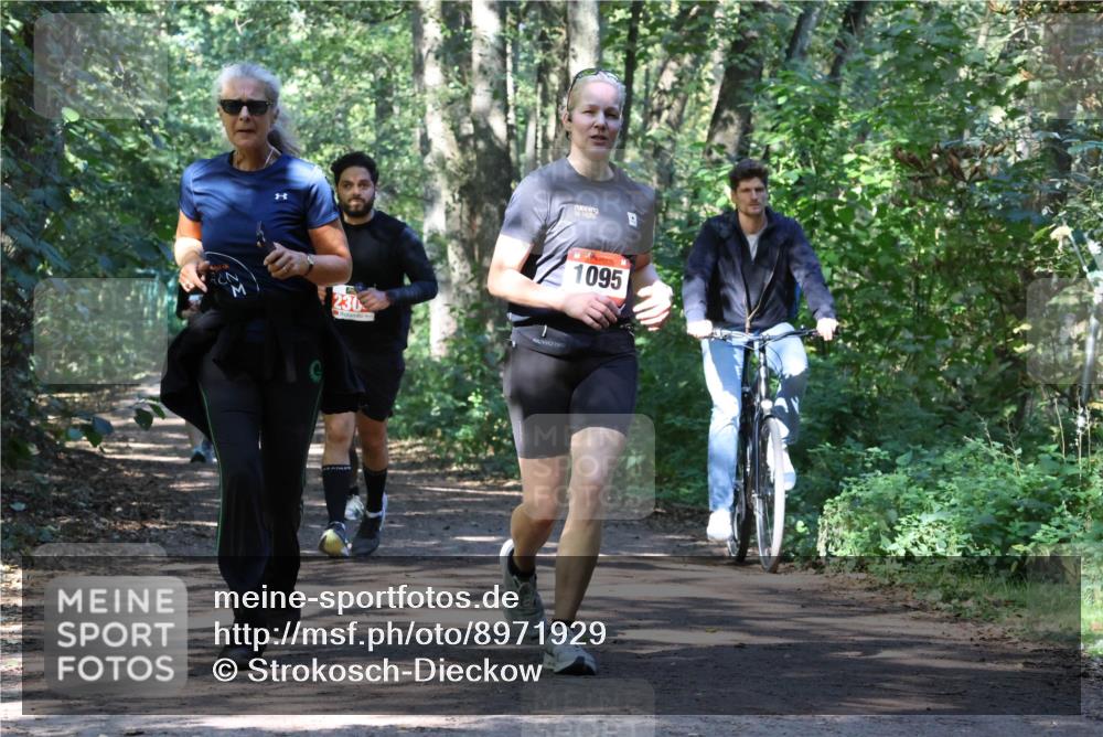 28.09.2025 - 33. Volkslauf durch das schöne Alstertal Strokosch-Dieckow http://msf.ph/oto/8971929 28.09.2025 12:25:34 Laufen 1095 meine-sportfotos.de
