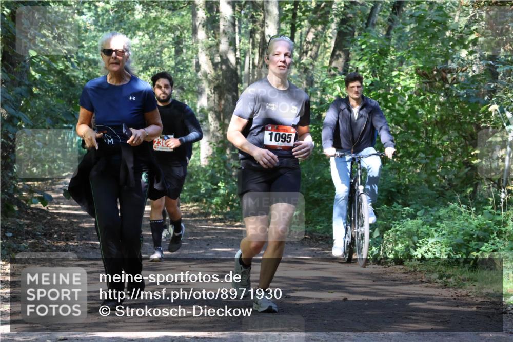 28.09.2025 - 33. Volkslauf durch das schöne Alstertal Strokosch-Dieckow http://msf.ph/oto/8971930 28.09.2025 12:25:34 Laufen 230, 1095 meine-sportfotos.de