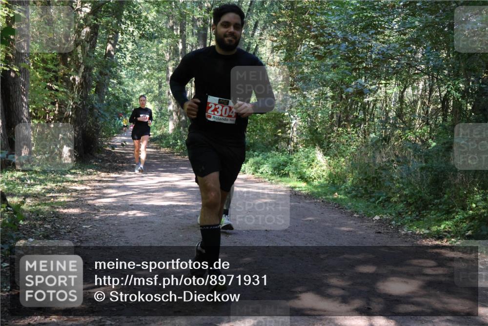 28.09.2025 - 33. Volkslauf durch das schöne Alstertal Strokosch-Dieckow http://msf.ph/oto/8971931 28.09.2025 12:25:39 Laufen 2304 meine-sportfotos.de