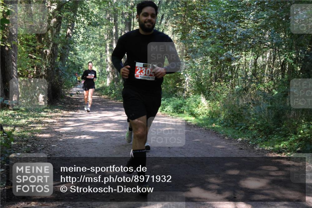 28.09.2025 - 33. Volkslauf durch das schöne Alstertal Strokosch-Dieckow http://msf.ph/oto/8971932 28.09.2025 12:25:39 Laufen 2304 meine-sportfotos.de