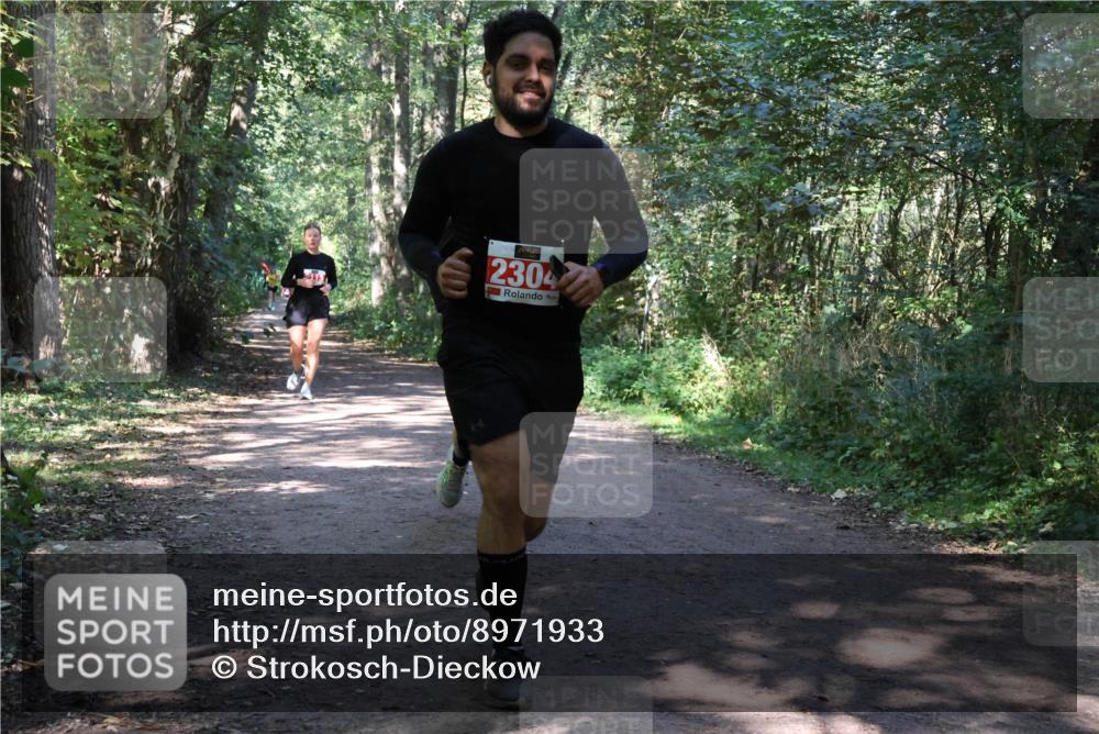 28.09.2025 - 33. Volkslauf durch das schöne Alstertal Strokosch-Dieckow http://msf.ph/oto/8971933 28.09.2025 12:25:40 Laufen 2304 meine-sportfotos.de