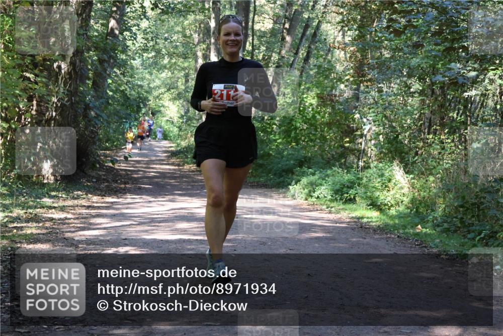 28.09.2025 - 33. Volkslauf durch das schöne Alstertal Strokosch-Dieckow http://msf.ph/oto/8971934 28.09.2025 12:25:43 Laufen 211 meine-sportfotos.de