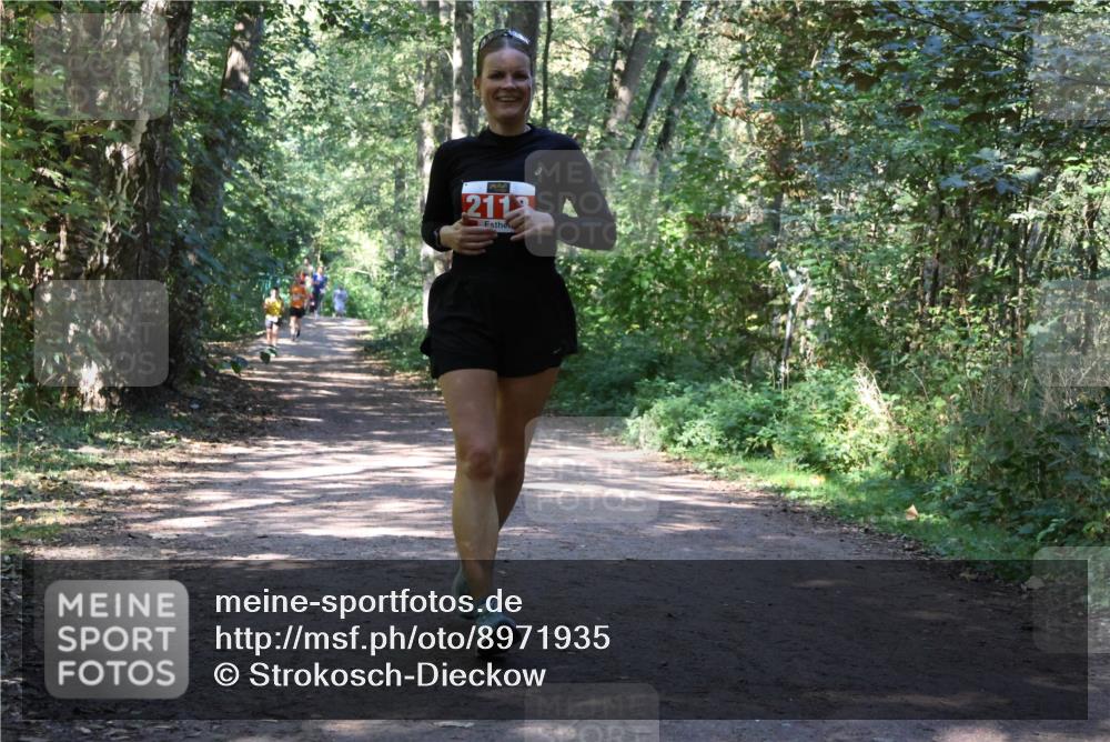 28.09.2025 - 33. Volkslauf durch das schöne Alstertal Strokosch-Dieckow http://msf.ph/oto/8971935 28.09.2025 12:25:43 Laufen 2113 meine-sportfotos.de
