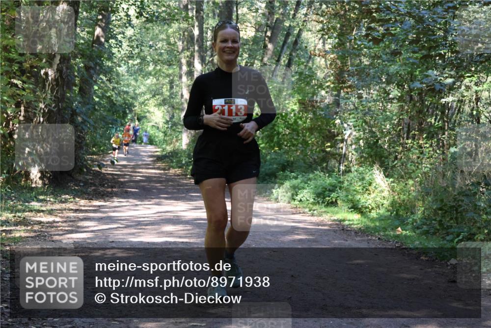 28.09.2025 - 33. Volkslauf durch das schöne Alstertal Strokosch-Dieckow http://msf.ph/oto/8971938 28.09.2025 12:25:43 Laufen 2113 meine-sportfotos.de