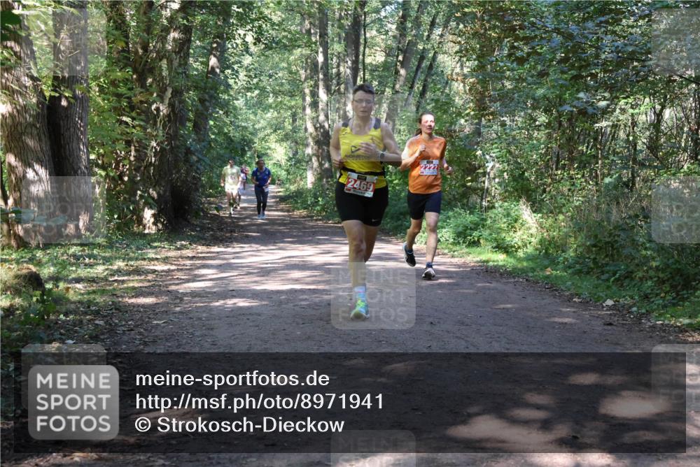 28.09.2025 - 33. Volkslauf durch das schöne Alstertal Strokosch-Dieckow http://msf.ph/oto/8971941 28.09.2025 12:26:00 Laufen 42469, 2222 meine-sportfotos.de