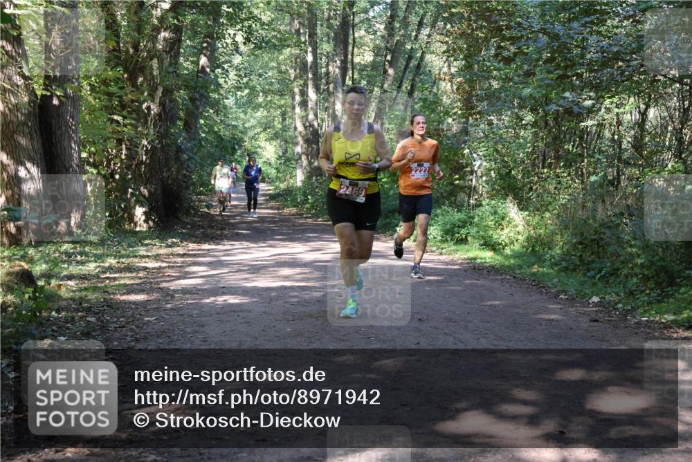 28.09.2025 - 33. Volkslauf durch das schöne Alstertal Strokosch-Dieckow http://msf.ph/oto/8971942 28.09.2025 12:26:00 Laufen 2469, 2222 meine-sportfotos.de
