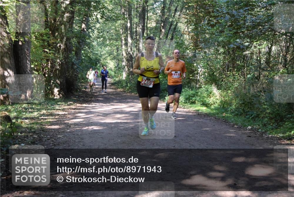 28.09.2025 - 33. Volkslauf durch das schöne Alstertal Strokosch-Dieckow http://msf.ph/oto/8971943 28.09.2025 12:26:00 Laufen 2222, 2469 meine-sportfotos.de