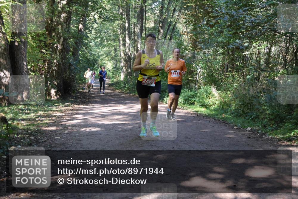 28.09.2025 - 33. Volkslauf durch das schöne Alstertal Strokosch-Dieckow http://msf.ph/oto/8971944 28.09.2025 12:26:00 Laufen 2469, 2222 meine-sportfotos.de