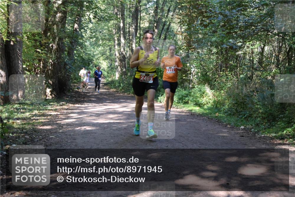 28.09.2025 - 33. Volkslauf durch das schöne Alstertal Strokosch-Dieckow http://msf.ph/oto/8971945 28.09.2025 12:26:00 Laufen 2469, 2222 meine-sportfotos.de