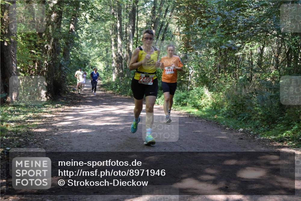 28.09.2025 - 33. Volkslauf durch das schöne Alstertal Strokosch-Dieckow http://msf.ph/oto/8971946 28.09.2025 12:26:00 Laufen 2469, 2222 meine-sportfotos.de