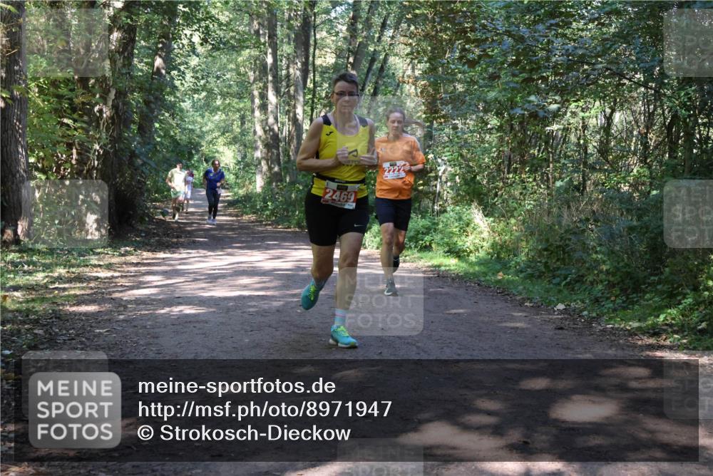 28.09.2025 - 33. Volkslauf durch das schöne Alstertal Strokosch-Dieckow http://msf.ph/oto/8971947 28.09.2025 12:26:00 Laufen 2469, 2222 meine-sportfotos.de