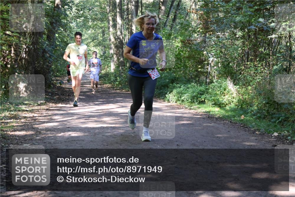 28.09.2025 - 33. Volkslauf durch das schöne Alstertal Strokosch-Dieckow http://msf.ph/oto/8971949 28.09.2025 12:26:08 Laufen 314, 1837, 260 meine-sportfotos.de