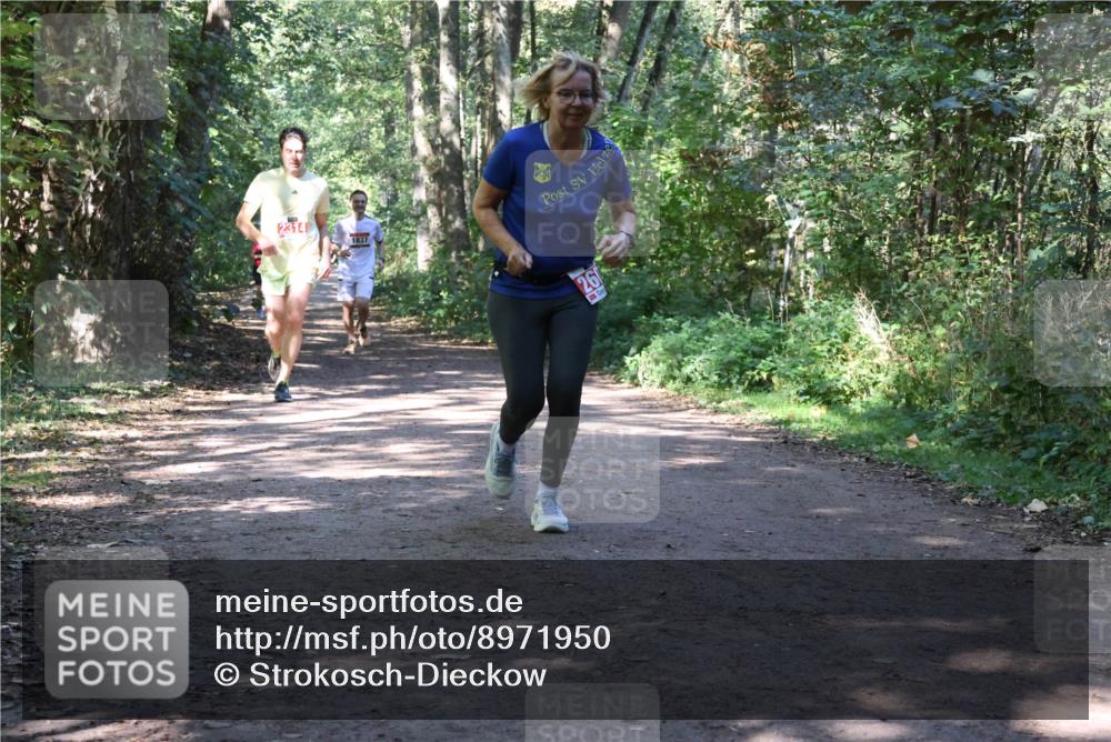28.09.2025 - 33. Volkslauf durch das schöne Alstertal Strokosch-Dieckow http://msf.ph/oto/8971950 28.09.2025 12:26:08 Laufen 2314, 1837 meine-sportfotos.de