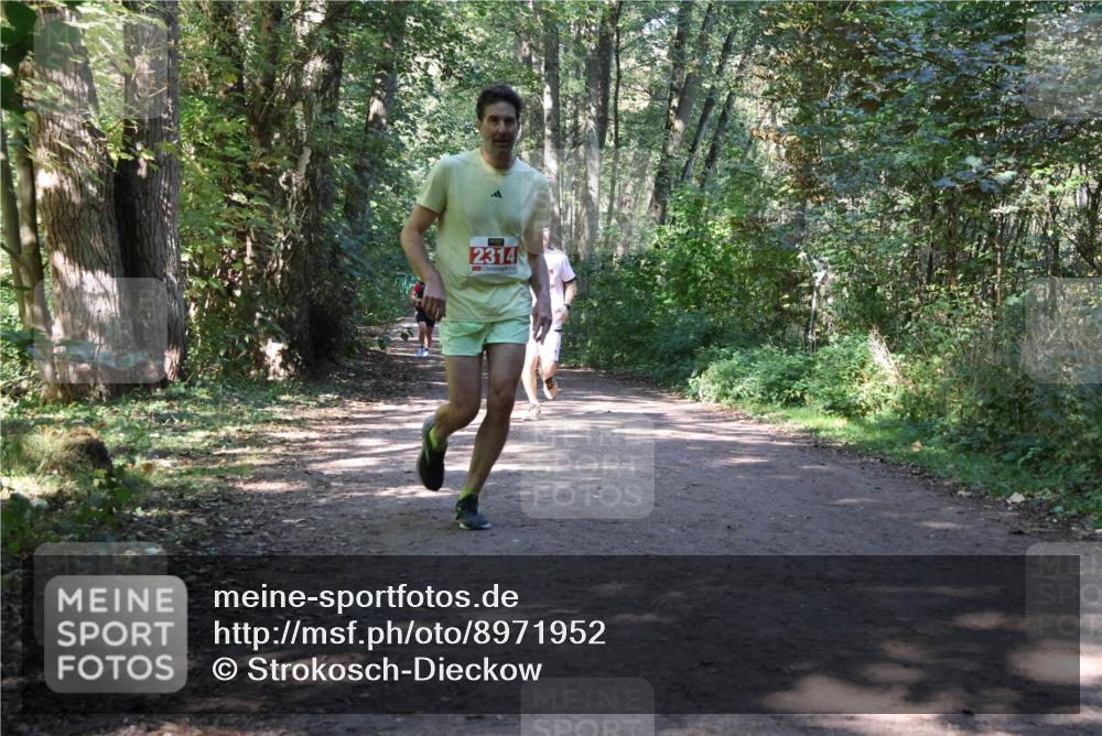 28.09.2025 - 33. Volkslauf durch das schöne Alstertal Strokosch-Dieckow http://msf.ph/oto/8971952 28.09.2025 12:26:11 Laufen 2314 meine-sportfotos.de