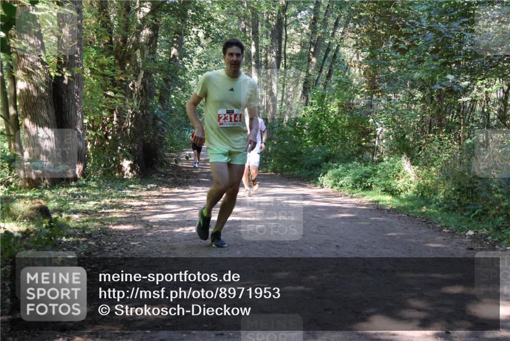 28.09.2025 - 33. Volkslauf durch das schöne Alstertal Strokosch-Dieckow http://msf.ph/oto/8971953 28.09.2025 12:26:11 Laufen 2314 meine-sportfotos.de