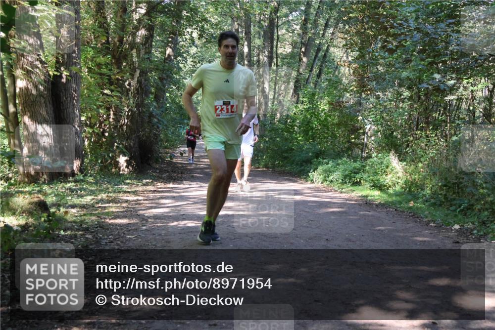 28.09.2025 - 33. Volkslauf durch das schöne Alstertal Strokosch-Dieckow http://msf.ph/oto/8971954 28.09.2025 12:26:12 Laufen 2314 meine-sportfotos.de