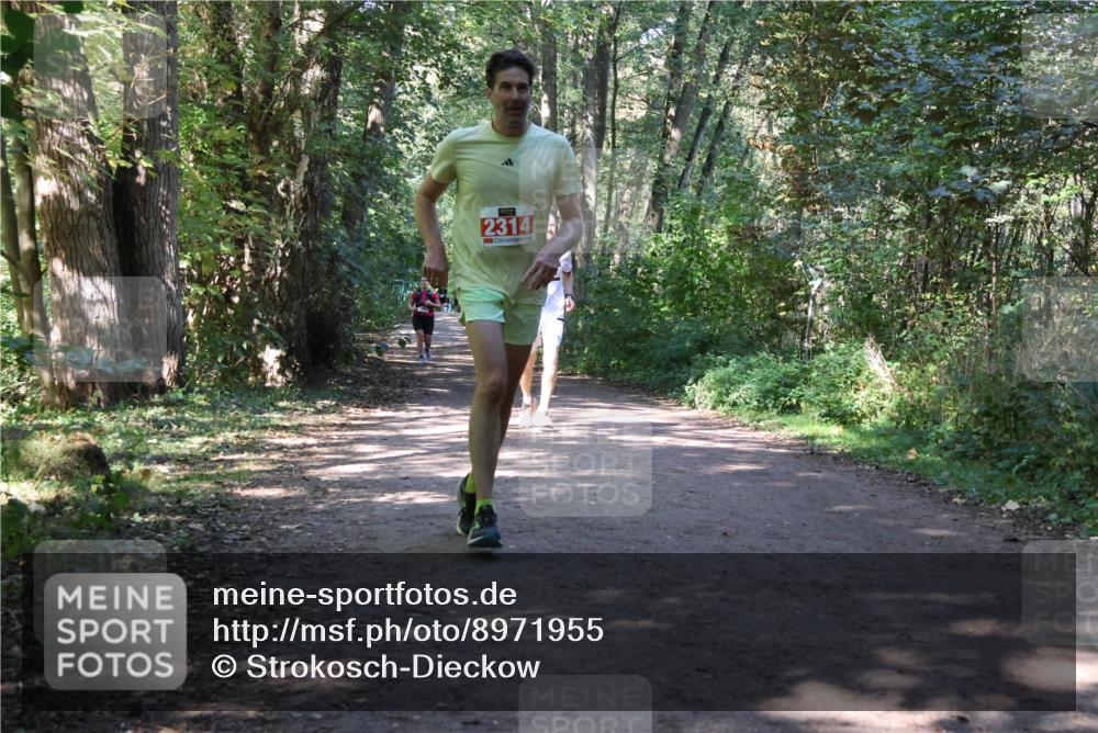 28.09.2025 - 33. Volkslauf durch das schöne Alstertal Strokosch-Dieckow http://msf.ph/oto/8971955 28.09.2025 12:26:12 Laufen 2314 meine-sportfotos.de