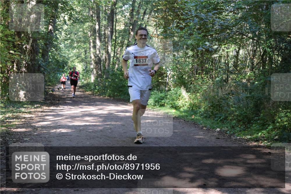 28.09.2025 - 33. Volkslauf durch das schöne Alstertal Strokosch-Dieckow http://msf.ph/oto/8971956 28.09.2025 12:26:14 Laufen 1837 meine-sportfotos.de