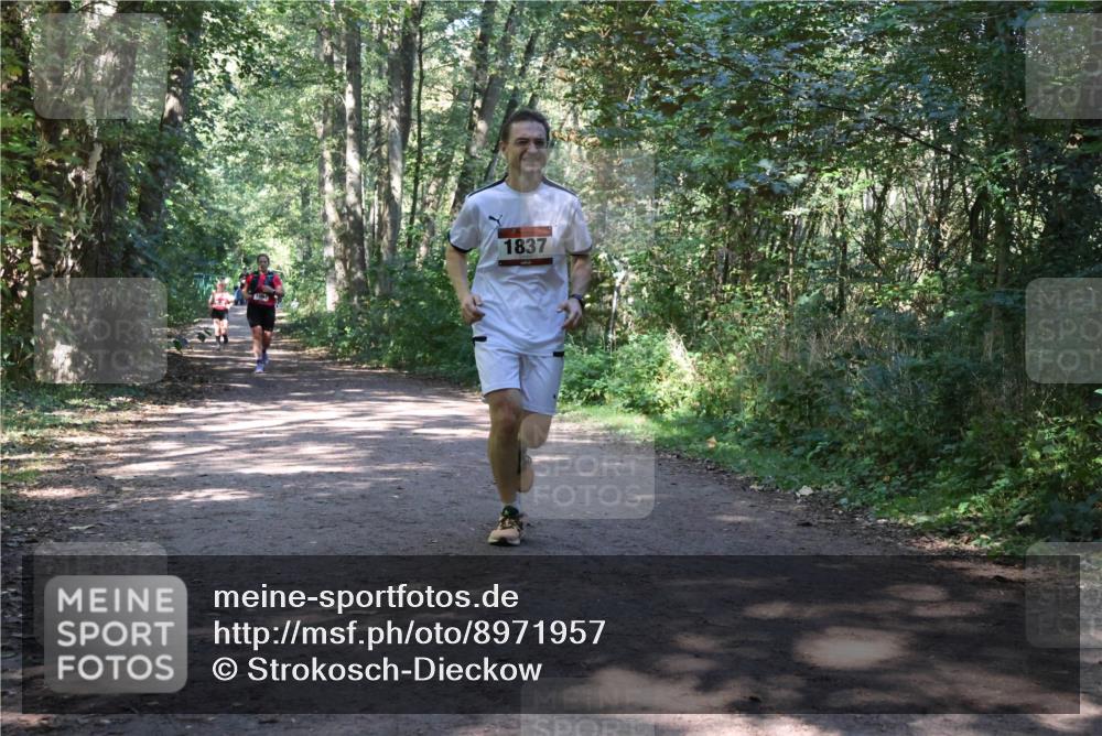 28.09.2025 - 33. Volkslauf durch das schöne Alstertal Strokosch-Dieckow http://msf.ph/oto/8971957 28.09.2025 12:26:14 Laufen 1837 meine-sportfotos.de