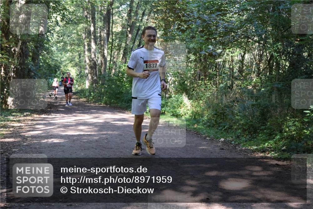 28.09.2025 - 33. Volkslauf durch das schöne Alstertal Strokosch-Dieckow http://msf.ph/oto/8971959 28.09.2025 12:26:14 Laufen 1837 meine-sportfotos.de