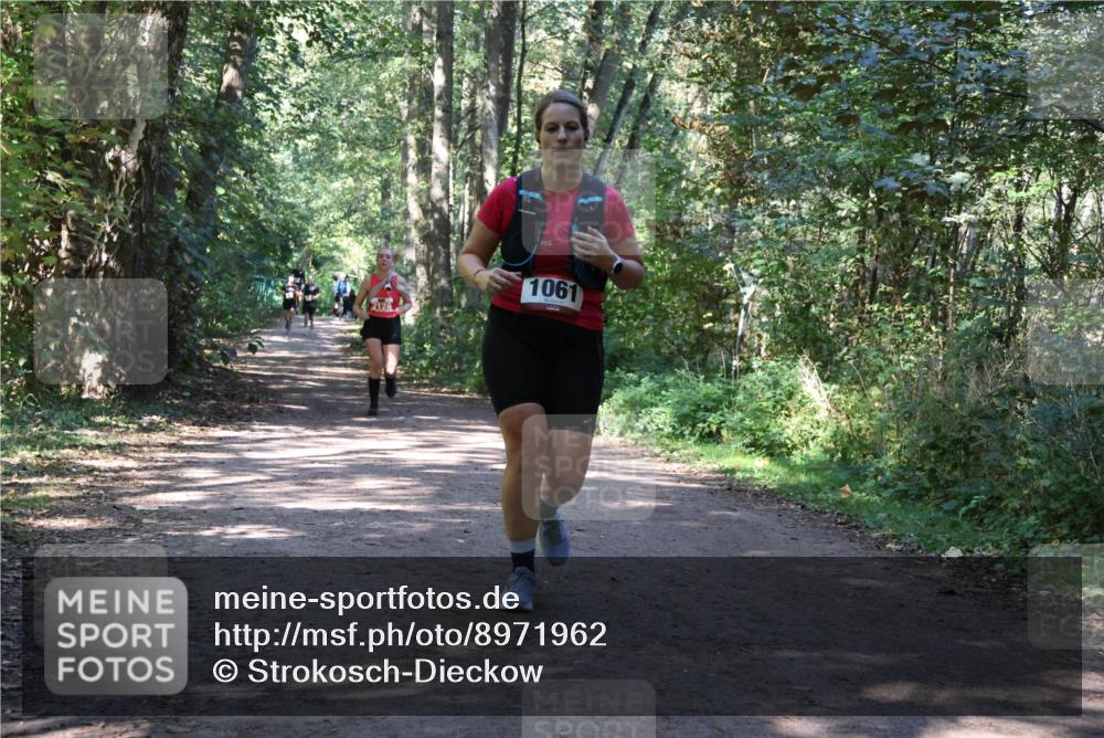 28.09.2025 - 33. Volkslauf durch das schöne Alstertal Strokosch-Dieckow http://msf.ph/oto/8971962 28.09.2025 12:26:21 Laufen 2128, 1061 meine-sportfotos.de