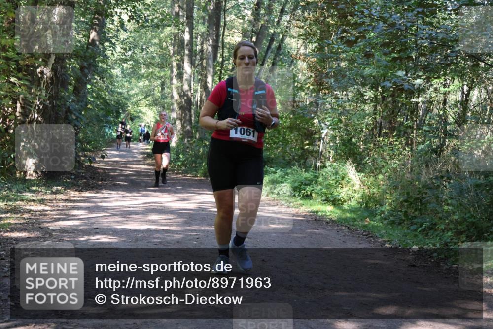 28.09.2025 - 33. Volkslauf durch das schöne Alstertal Strokosch-Dieckow http://msf.ph/oto/8971963 28.09.2025 12:26:21 Laufen 1061 meine-sportfotos.de