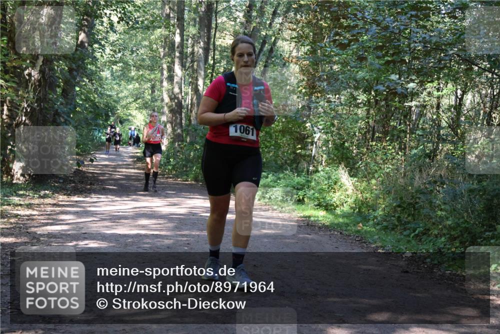 28.09.2025 - 33. Volkslauf durch das schöne Alstertal Strokosch-Dieckow http://msf.ph/oto/8971964 28.09.2025 12:26:21 Laufen 1061 meine-sportfotos.de