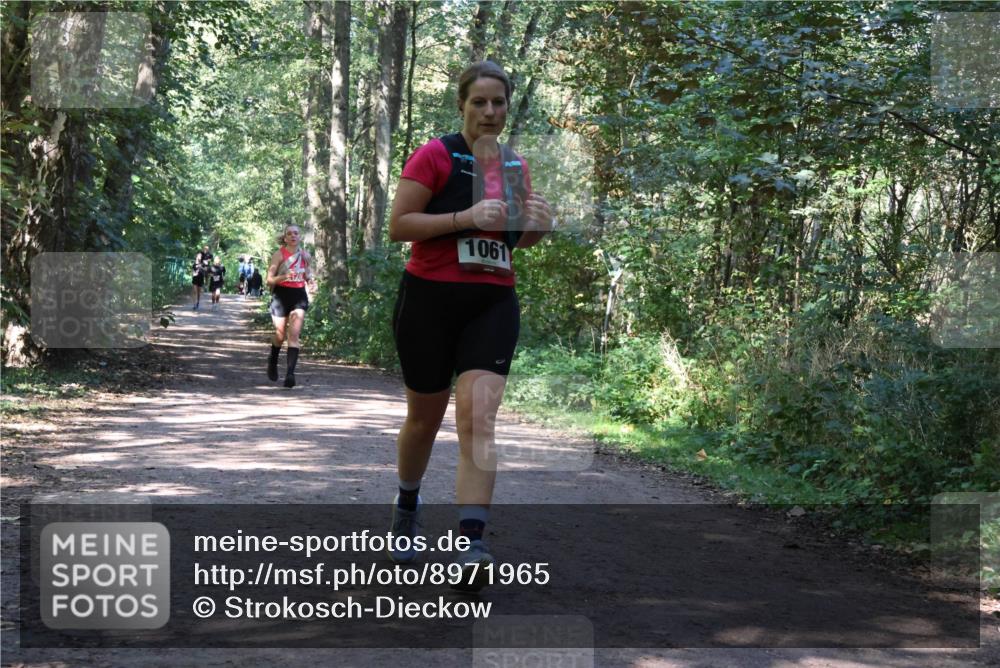 28.09.2025 - 33. Volkslauf durch das schöne Alstertal Strokosch-Dieckow http://msf.ph/oto/8971965 28.09.2025 12:26:21 Laufen 1061 meine-sportfotos.de