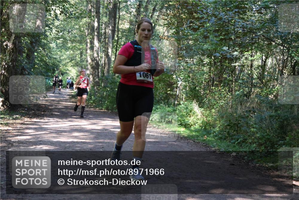 28.09.2025 - 33. Volkslauf durch das schöne Alstertal Strokosch-Dieckow http://msf.ph/oto/8971966 28.09.2025 12:26:21 Laufen 1061 meine-sportfotos.de
